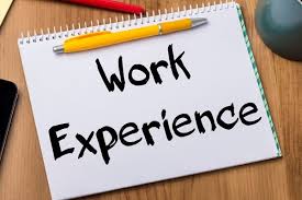 Work Experience with Six Months Courses and Two Certificates